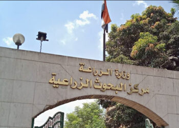 معهد بحوث المحاصيل الحقلية