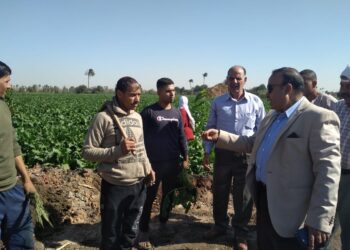 وكيل زراعة الفيوم في جولة ميدانية ويشدد على عدة توصيات