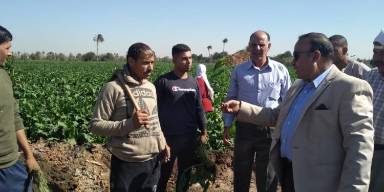 وكيل زراعة الفيوم في جولة ميدانية ويشدد على عدة توصيات 1 وكيل زراعة الفيوم في جولة ميدانية ويشدد على عدة توصيات