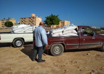 جهاز مشروعات التنمية الشاملة