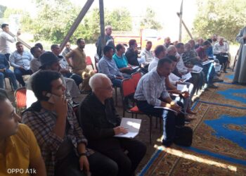 مزاد بيع القطن