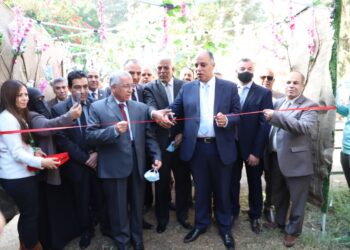 مهرجان العسل المصري