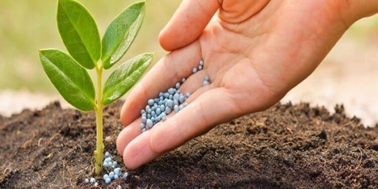 «احتياجات الأرض» .. فيديو يوضح كيفية ادارة السماد 1 كيفية ادارة السماد