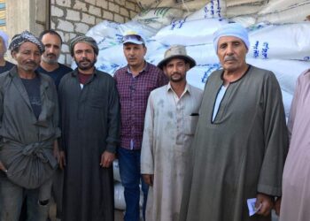 صرف الأسمدة للمزارعين.. بورسعيد تعلن تسليم ١٠٠ طن