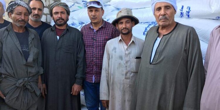 صرف الأسمدة للمزارعين.. بورسعيد تعلن تسليم ١٠٠ طن 1 صرف الأسمدة للمزارعين.. بورسعيد تعلن تسليم ١٠٠ طن