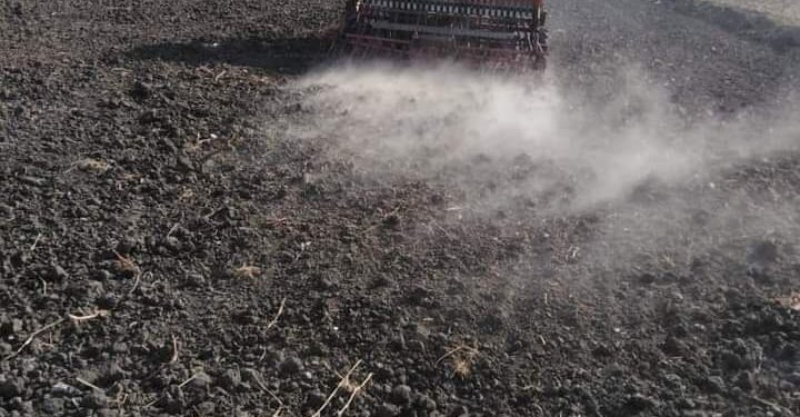 بورسعيد تدشن أول حقل إرشادي للقمح بأصناف جديدة من إنتاج معهد المحاصيل 1 بورسعيد تدشن أول حقل إرشادي للقمح بأصناف جديدة من إنتاج معهد المحاصيل