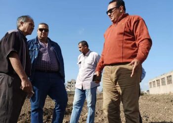 زراعة القمح على مصاطب بحقل تابع للمجالس الزراعية بدمياط