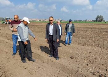 زراعة القمح بالسطارة ومتابعة صرف الأسمدة في جولة لوكيل زراعة الشرقية