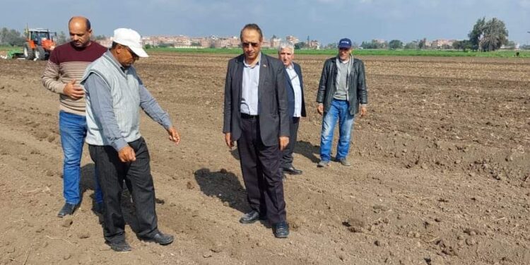 زراعة القمح بالسطارة ومتابعة صرف الأسمدة في جولة لوكيل زراعة الشرقية