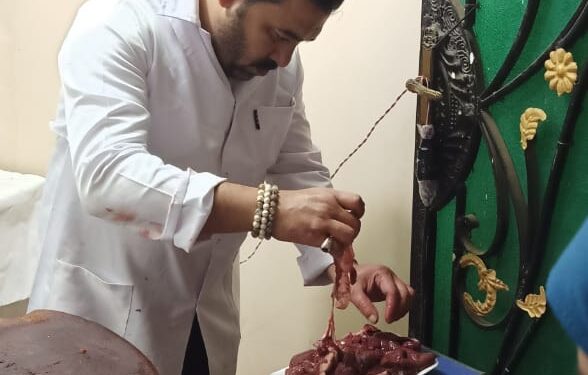 سعر كيلو اللحوم ب ١١٠ جنيه بمنافذ هيئة الإصلاح الزراعي 1 الإصلاح الزراعي