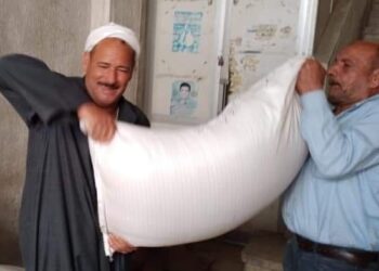 تسليم تقاوي الشعير لـ ٦ حقول إرشادية ببورسعيد