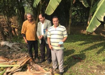 تحديث منظومة الري على رأس توصيات “مركزية البساتين” لمزارعي الموز بالغربية