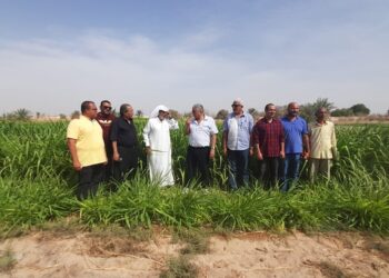 مركز بحوث الصحراء يقدم 5 نصائح لمزارعي المناطق الحدودية