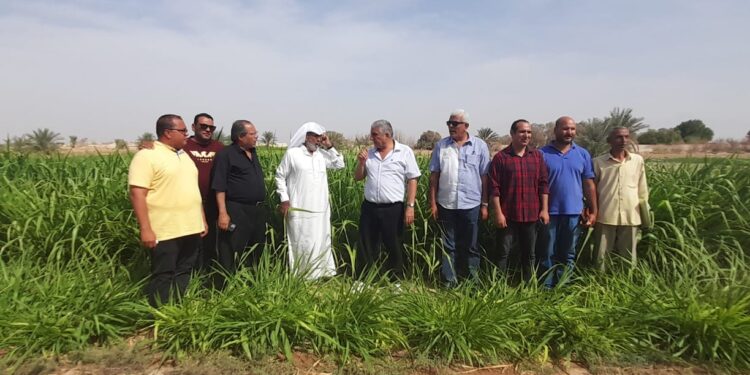 مركز بحوث الصحراء يقدم 5 نصائح لمزارعي المناطق الحدودية 1 مركز بحوث الصحراء يقدم 5 نصائح لمزارعي المناطق الحدودية