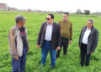 وكيل زراعة دمياط: الزراعات والثروة الحيوانية لم يتضررا من التقلبات الجوية