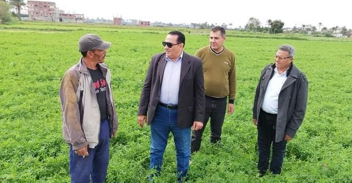 وكيل زراعة دمياط: الزراعات والثروة الحيوانية لم يتضررا من التقلبات الجوية 1 وكيل زراعة دمياط: الزراعات والثروة الحيوانية لم يتضررا من التقلبات الجوية