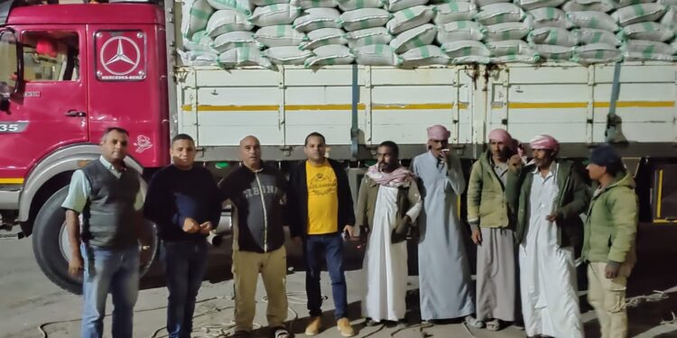 مركز بحوث الصحراء يواصل دعم مزارعي وسط سيناء 1 مركز بحوث الصحراء يواصل دعم مزارعي وسط سيناء