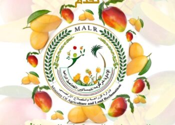 التوصيات الفنية لحدائق المانجو