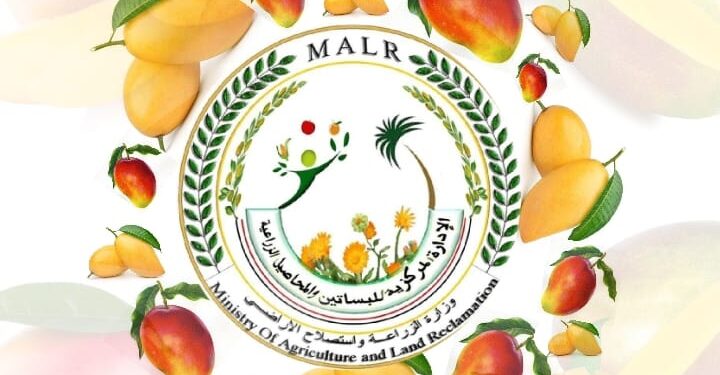 الزراعة تصدر التوصيات الفنية لحدائق المانجو خلال ديسمبر 1 التوصيات الفنية لحدائق المانجو