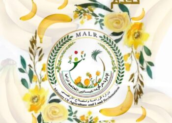 التوصيات الفنية لمزارعي الموز