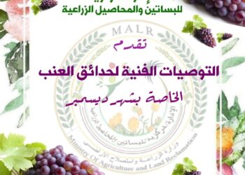 التوصيات الفنية لمزارعي العنب