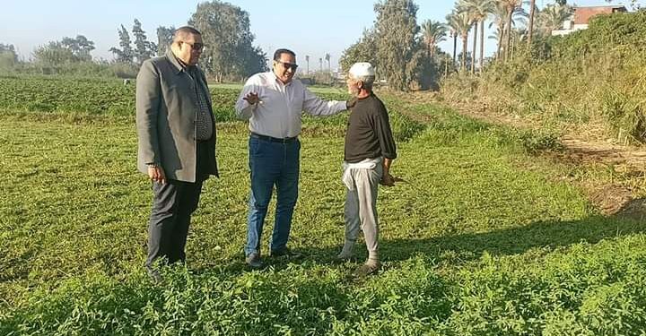 عبد السميع: المرور المكثف على الزراعات للاطمئنان على حالتها 1 المرور المكثف على الزراعات