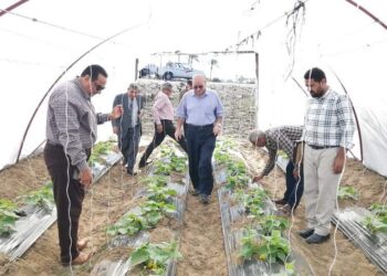 الري الحديث