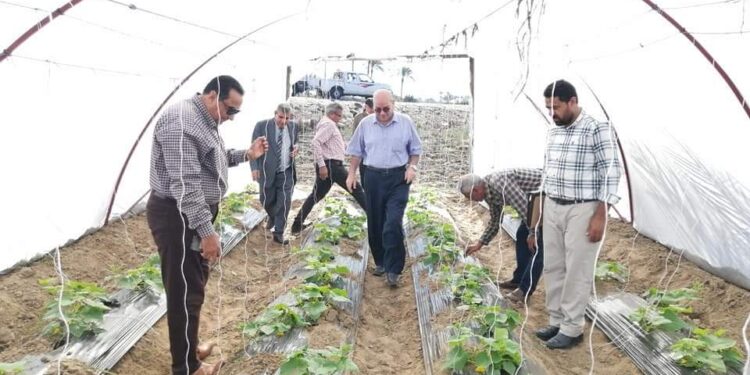 وفد حكومي يتفقد التحول لـ نظم الري الحديث بالأراضي الزراعية بدمياط 1 الري الحديث
