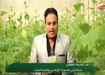 التوتا أبسلوتا