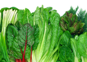 روشتة غذائية من الخضر