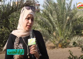 الري الحديث