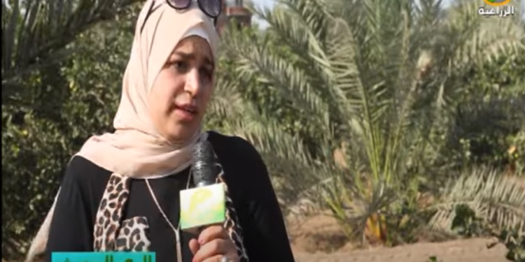 مدير شرق الدلتا للخدمات البستانية توضح دور المعامل المركزية في الري الحديث 1 الري الحديث