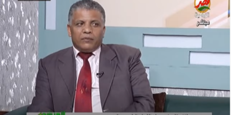 الفول البلدي