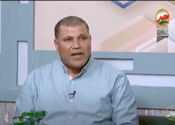 المحاصيل الحقلية