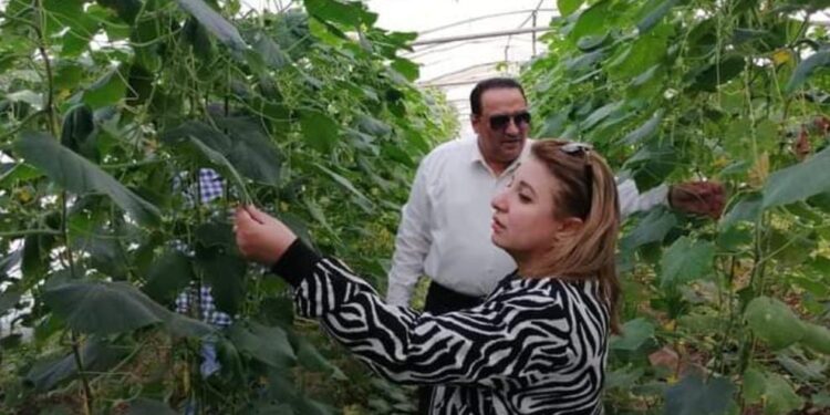 "عبدالسميع" يتفقد صوب إنتاج الخضر التابعة للمجالس الزراعية 1 صوب إنتاج الخضر بمديرية زراعة دمياط