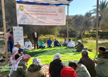 بناء قدرات الزراع