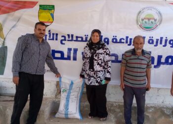 تقاوي القمح