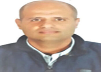 الستيرويدات النباتية