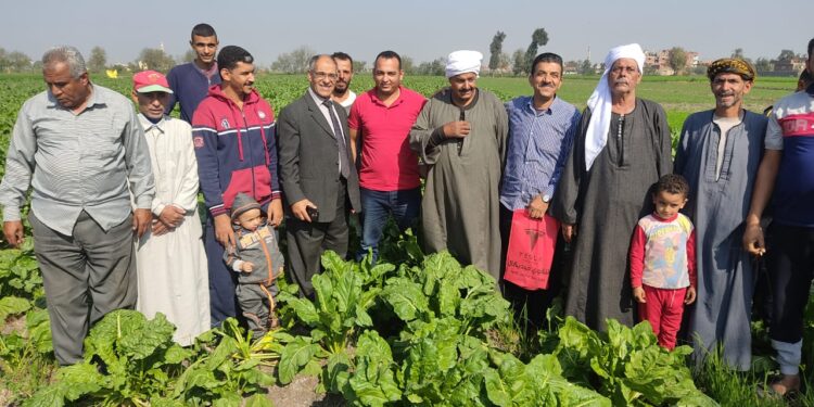 زراعة بنجر السكر .. مديرية الشرقية تنظم يوم حقل للمحصول