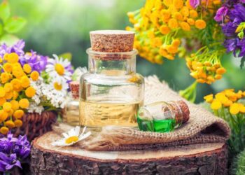 طرق استخلاص الزيوت العطرية