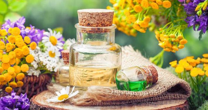 طرق استخلاص الزيوت العطرية.. استشاري نباتات طبية يوضحها 1 طرق استخلاص الزيوت العطرية