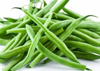 الأهمية الغذائية للفاصوليا