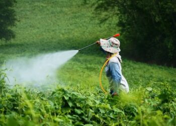 المبيدات صديقة البيئة