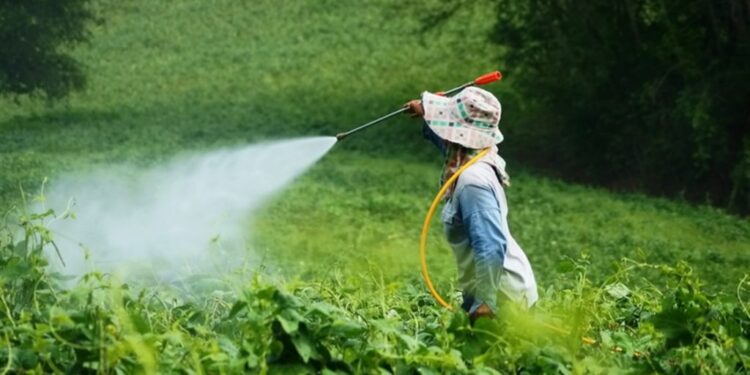 "عبدالمجيد": مصر ستتحول لاستخدام المبيدات صديقة البيئة بحلول 2030 1 المبيدات صديقة البيئة