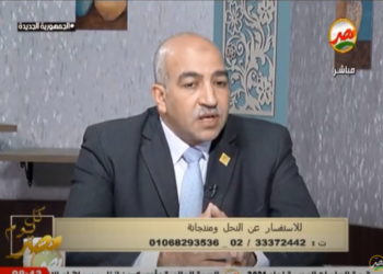 مهرجان العسل المصري