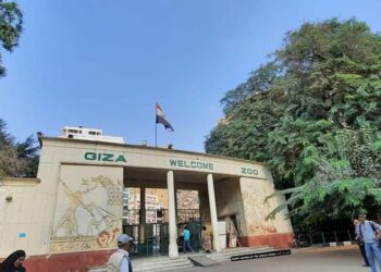 اليوم العالمي لمتطوعي البيئة