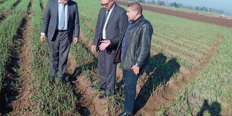 الزراعة تتابع منظومة توزيع الأسمدة ومراكز تجميع الألبان في محافظة الغربية 1 منظومة توزيع الأسمدة