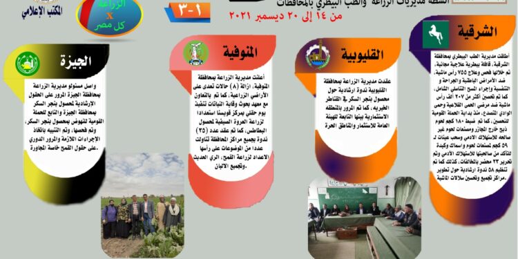 "الزراعة في كل مصر" العدد 20 لأهم أنشطة مديريات الزراعة والطب البيطري 1 الزراعة في كل مصر