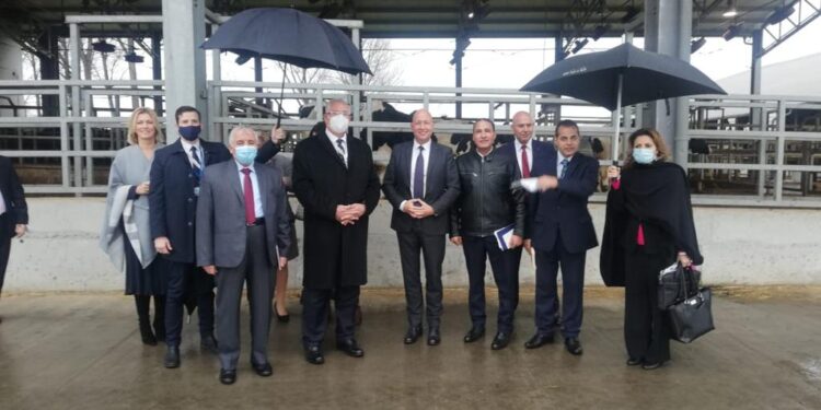 كوكب بودابست