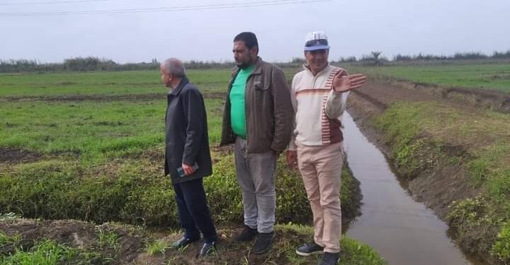 جولات ميدانية مكثفة لمتابعة الزراعات الشتوية في بورسعيد 1 أثناء متابعة الزراعات الشتوية